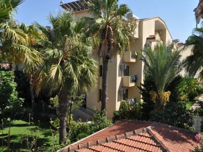 Hibiscus Apart & Garden