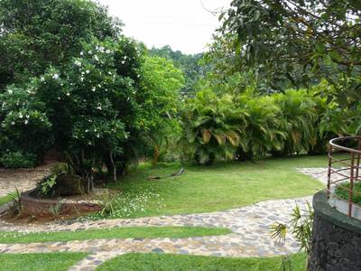 Lush Life  Villa Galle Retreat