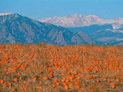 Courtyard by Marriott Boulder