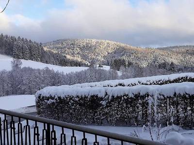 Schwarzwaldhaus Marion