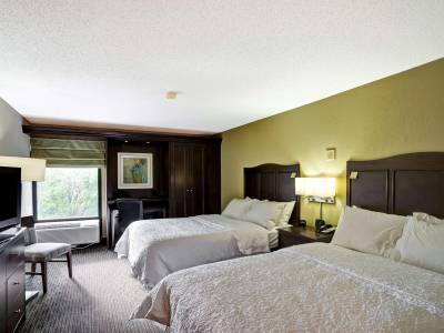 Hampton Inn Knoxville-Airport