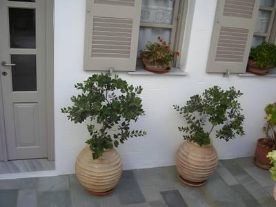 Despinas Rooms & Apartements