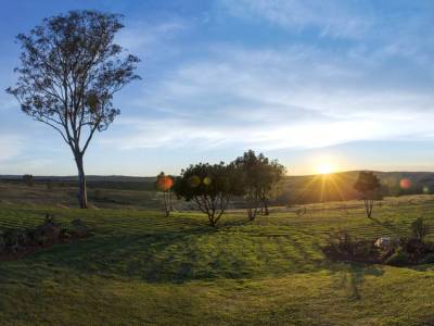 Founders Lodge By Mantis
