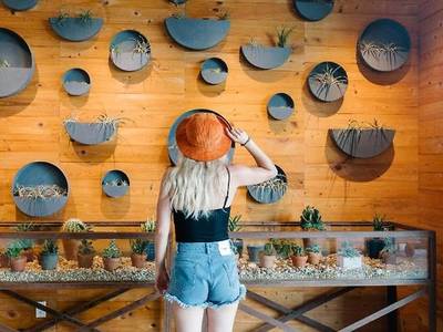 The Perry Hotel Key West