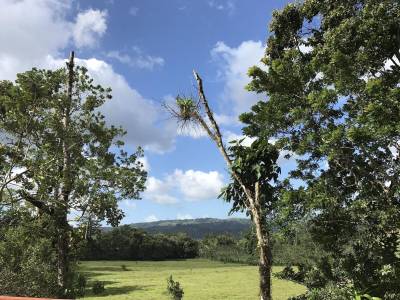 Paradise Hot Springs Thermal Resort