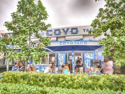 Krymwood Flats Wynwood