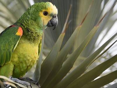 Hotel Domaine de Crécy