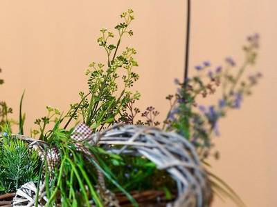 Hotel Residence Martell Mountains