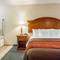 Comfort Inn Hillsboro
