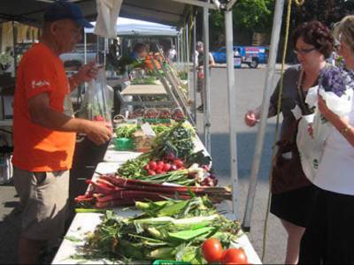 Courtyard Waterloo St. Jacobs