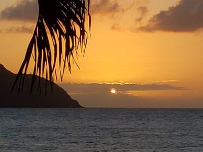 Renaissance St. Croix Carambola Beach Resort & Spa