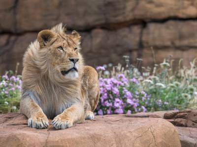 Holiday Inn Express Droitwich M5, Jct.5